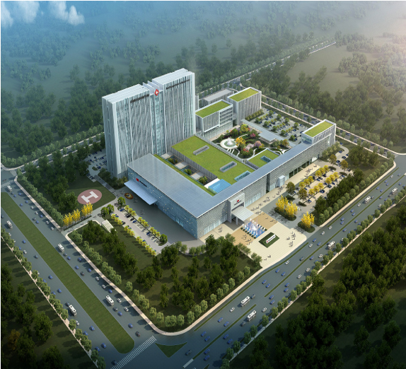 未标题-1 未标题-1